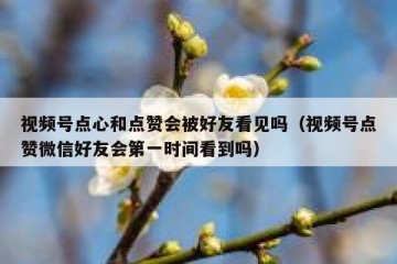 视频号点心和点赞会被好友看见吗（视频号点赞微信好友会第一时间看到吗）
