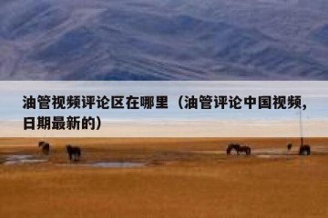 油管视频评论区在哪里（油管评论中国视频,日期最新的）