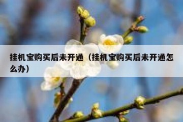 挂机宝购买后未开通（挂机宝购买后未开通怎么办）