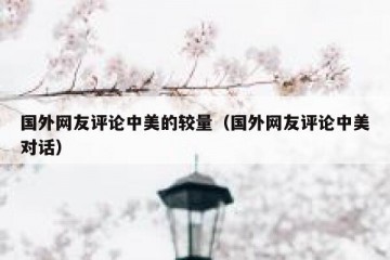 国外网友评论中美的较量（国外网友评论中美对话）