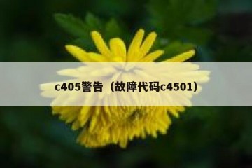 c405警告（故障代码c4501）