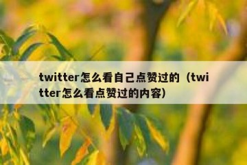 twitter怎么看自己点赞过的（twitter怎么看点赞过的内容）