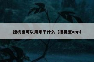 挂机宝可以用来干什么（挂机宝app）