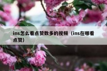ins怎么看点赞数多的视频（ins在哪看点赞）