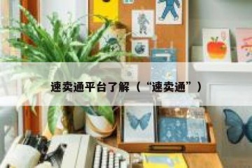 速卖通平台了解（“速卖通”）