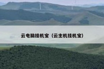 云电脑挂机宝（云主机挂机宝）