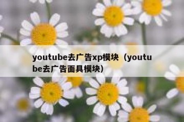 youtube去广告xp模块（youtube去广告面具模块）