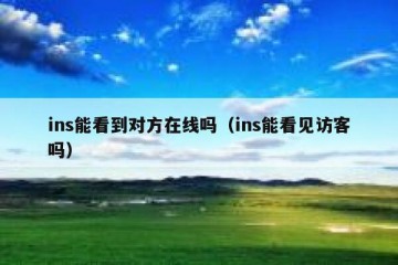 ins能看到对方在线吗（ins能看见访客吗）