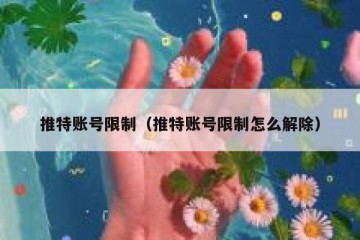 推特账号限制（推特账号限制怎么解除）