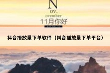 抖音播放量下单软件（抖音播放量下单平台）