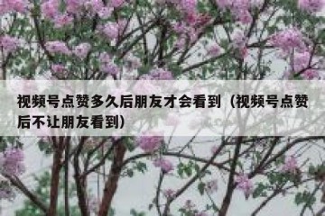 视频号点赞多久后朋友才会看到（视频号点赞后不让朋友看到）