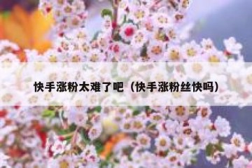 快手涨粉太难了吧（快手涨粉丝快吗）