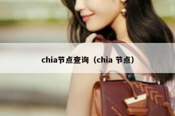 chia节点查询（chia 节点）