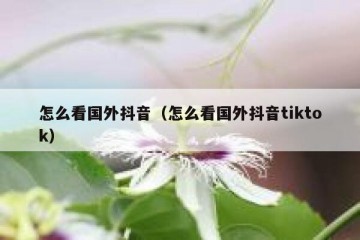 怎么看国外抖音（怎么看国外抖音tiktok）