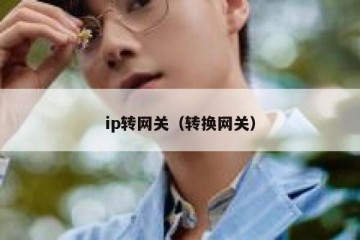 ip转网关（转换网关）
