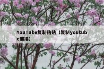 YouTube复制粘贴（复制youtube链接）