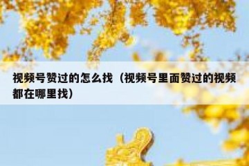 视频号赞过的怎么找（视频号里面赞过的视频都在哪里找）