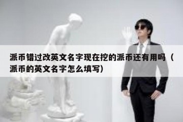 派币错过改英文名字现在挖的派币还有用吗（派币的英文名字怎么填写）