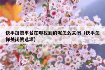 快手加赞平台在哪找到的呢怎么关闭（快手怎样关闭赞选项）