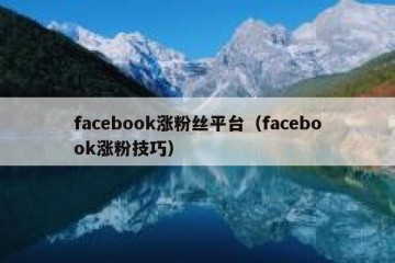 facebook涨粉丝平台（facebook涨粉技巧）