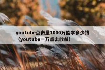 youtube点击量1000万能拿多少钱（youtube一万点击收益）
