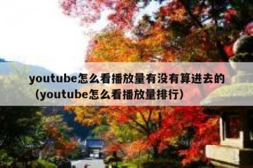 youtube怎么看播放量有没有算进去的（youtube怎么看播放量排行）