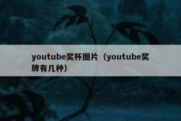 youtube奖杯图片（youtube奖牌有几种）