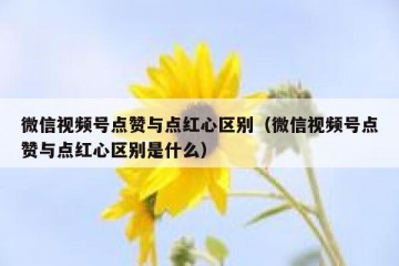 微信视频号点赞与点红心区别（微信视频号点赞与点红心区别是什么）