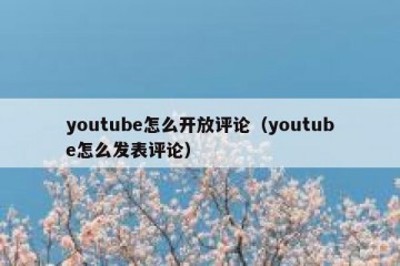 youtube怎么开放评论（youtube怎么发表评论）