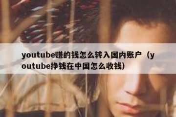 youtube赚的钱怎么转入国内账户（youtube挣钱在中国怎么收钱）