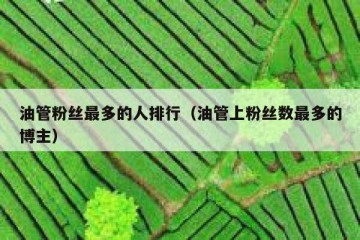 油管粉丝最多的人排行（油管上粉丝数最多的博主）