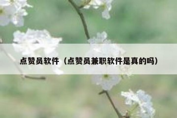 点赞员软件（点赞员兼职软件是真的吗）