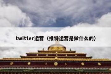 twitter运营（推特运营是做什么的）