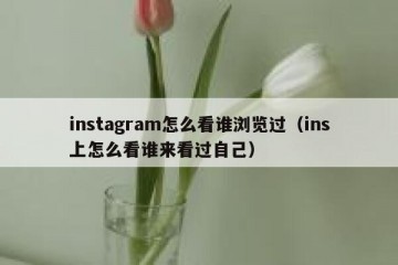 instagram怎么看谁浏览过（ins上怎么看谁来看过自己）