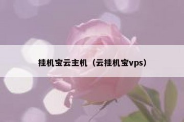 挂机宝云主机（云挂机宝vps）