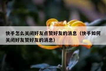 快手怎么关闭好友点赞好友的消息（快手如何关闭好友赞好友的消息）