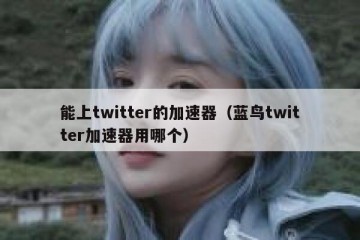 能上twitter的加速器（蓝鸟twitter加速器用哪个）