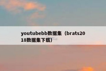 youtubebb数据集（brats2018数据集下载）