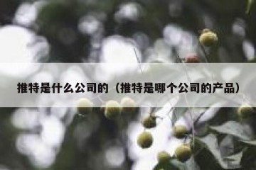 推特是什么公司的（推特是哪个公司的产品）