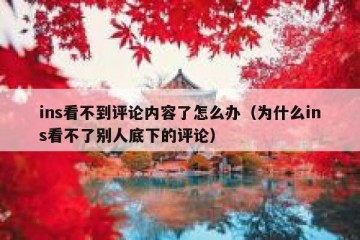 ins看不到评论内容了怎么办（为什么ins看不了别人底下的评论）