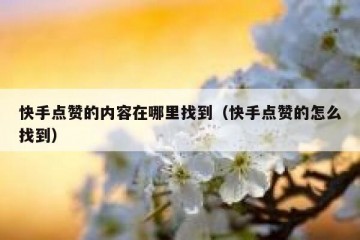 快手点赞的内容在哪里找到（快手点赞的怎么找到）
