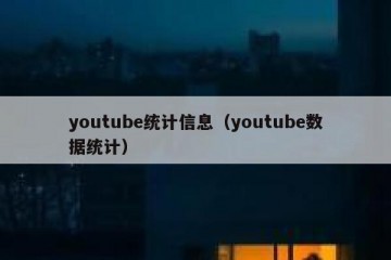youtube统计信息（youtube数据统计）