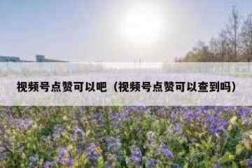 视频号点赞可以吧（视频号点赞可以查到吗）