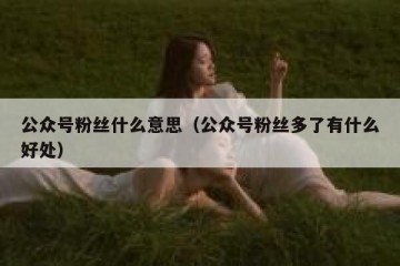 公众号粉丝什么意思（公众号粉丝多了有什么好处）