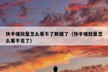 快手播放量怎么看不了数据了（快手播放量怎么看不见了）