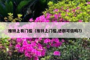 推特上有门槛（推特上门槛,进群可信吗?）
