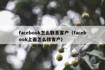 facebook怎么联系客户（facebook上面怎么找客户）
