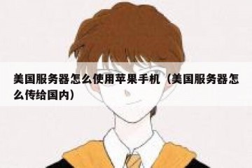 美国服务器怎么使用苹果手机（美国服务器怎么传给国内）