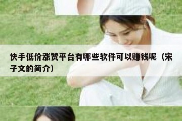 快手低价涨赞平台有哪些软件可以赚钱呢（宋子文的简介）
