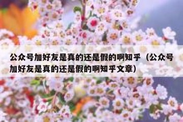 公众号加好友是真的还是假的啊知乎（公众号加好友是真的还是假的啊知乎文章）